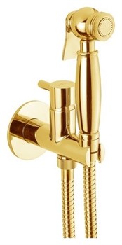 Гигиенический душ скрытого монтажа Webert EL870302010 29075 - фото 182151
