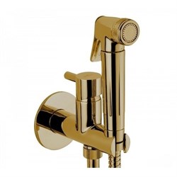 Гигиенический душ скрытого монтажа Webert EL870301065 29088 - фото 182265