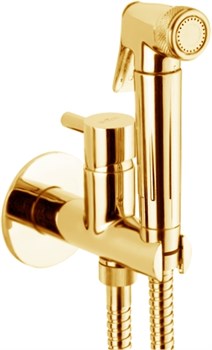 Гигиенический душ скрытого монтажа Webert EL870301010 29089 - фото 182272