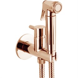 Гигиенический душ скрытого монтажа Webert EL870301980 29090 - фото 182274