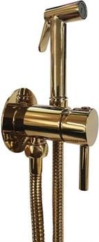 Гигиенический душ скрытого монтажа Paffoni Tweet Round ZDUP110HG 30501 - фото 191997
