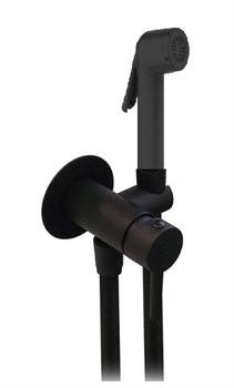 Гигиенический душ скрытого монтажа Clever TOUBKAL 61118 31867 - фото 198083