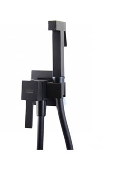 Гигиенический душ скрытого монтажа Webert Pegaso PE870303560 29932 - фото 202227