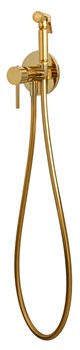 Гигиенический душ скрытого монтажа Remer X STYLE X65DO золото 39823 - фото 213658