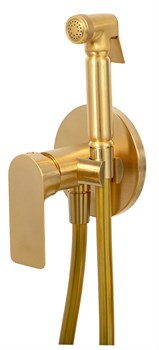Гигиенический душ скрытого монтажа Remer SHUT OFF I65BG золото матовое 39830 - фото 213701