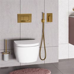 Гигиенический душ скрытого монтажа WasserKRAFT Aisch A55094 золото матовое 41587 - фото 221493