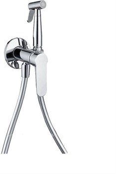 Гигиенический душ скрытого монтажа Aquanet Passion AF300-52С 42321 - фото 228665