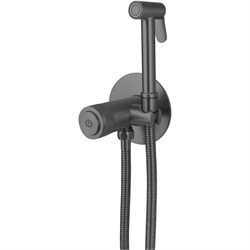 Гигиенический душ с прогресивным смесителем Allen Brau Liberty 5.33005-MG (с внутренней частью) графит браш 44943