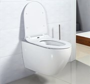 Безободковый подвесной унитаз BELBAGNO SFERA-R BB513CH+BB2009SC с крышкой микролифт 20666