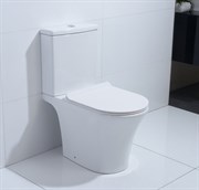 Унитаз напольный безободковый ORANS WM-9907 25242