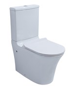 Унитаз напольный безободковый ORANS WM-9906 25244