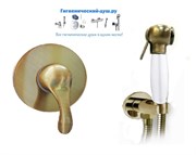 Гигиенический душ скрытого монтажа M&Z Delizia DLZ0271230Z3Z271 28911