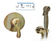 Гигиенический душ скрытого монтажа M&Z Delizia DLZ0271230Z269Z2 28912