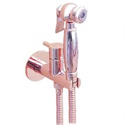 Гигиенический душ скрытого монтажа Webert EL870302980 29076