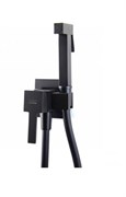 Гигиенический душ скрытого монтажа Webert Pegaso PE870303560 29932