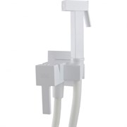Гигиенический душ скрытого монтажа Webert Pegaso PE870303740 29933