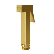Гигиеническая лейка Wasserkraft Aisch A213 матовое золото 39677