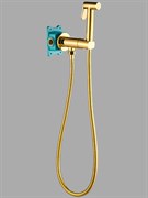 Гигиенический душ с прогрессивным смесителем ALMAes AGATA AL-877-08 золото