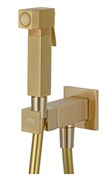 Гигиенический душ с прогрессивным смесителем Remer QUBIKA Q64BG золото матовое 41576