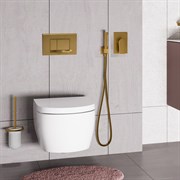 Гигиенический душ скрытого монтажа WasserKRAFT Aisch A55094 золото матовое 41587