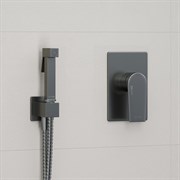 Гигиенический душ скрытого монтажа WasserKRAFT Wiese A84095 оружейная сталь 41589
