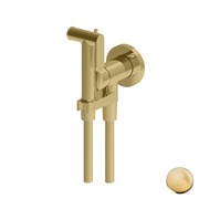 Гигиенический душ скрытого монтажа Gattoni RT010SG брашированное золото 44069