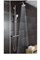 Душевая система с термостатом Grohe Euphoria 27420001 хром 27420001 - фото 103181