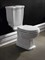 Унитаз-компакт BELBAGNO BOHEME BB115CPS+BB115T+BB115SCM-ORO с крышкой микролифт 20534 - фото 135056