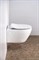 Безободковый подвесной унитаз BELBAGNO PROSPERO BB507B+BB2020SC с ультратонкой крышкой микролифт 20654 - фото 135858
