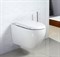 Безободковый подвесной унитаз BELBAGNO SFERA-R BB513CH+BB123SC с крышкой микролифт 20669 - фото 136001