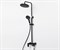 Душевая система со смесителем Wasserkraft Elbe A17401 черный матовый 22947 - фото 148041