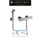 Гигиенический душ с термостатом Omnires SYS BIDETTA Y1246x-pp 23437 - фото 151904