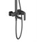 Душевая система TIMO TORNE SX-4320/03 BLACK 28823 - фото 180304