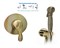 Гигиенический душ скрытого монтажа M&Z Delizia DLZ0271230Z269Z2 28912 - фото 180764