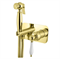 Гигиенический душ скрытого монтажа CEZARES APHRODITE-DIF-03/24-Bi 29294 - фото 184046
