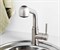 Смесители для кухни с выдвижным изливом Wasserkraft Wern 4266 30775 - фото 193736