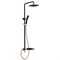 Душевая система Lemark Swan LM5462BG чёрный 337865 - фото 217417
