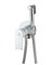 Гигиенический душ скрытого монтажа Ganzer GZ21057-F 31869 - фото 219807