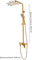 Душевая система Grocenberg SHOWER GB7007-1 Gold 39485 - фото 222607