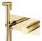 Гигиенический душ скрытого монтажа Boheme STICK GOLD DIAMOND GOLD 127-GG 42716 - фото 232035
