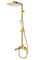 Душевая система Raglo R02.24.03 золото матовое 43133 - фото 235725