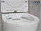Безободковый подвесной унитаз микролифт дюропласт Gid Tr2198 44564 - фото 254914