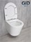 Безободковый подвесной унитаз микролифт дюропласт Gid Tr2130 44572 - фото 255043