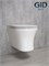 Безободковый подвесной унитаз микролифт дюропласт Gid Tr2101 44581 - фото 255232