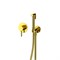 Гигиенический душ скрытого монтажа WHITECROSS Y SYSYBI1GL (золото) 44690