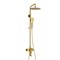 Душевая система со смесителем Wasserkraft Aisch A155.259.201.BG золото матовое 44866